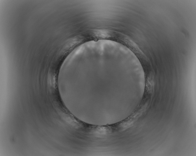 X0000111520330200908041249