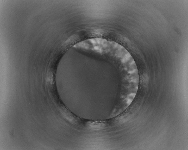 X0000111520331200908041249