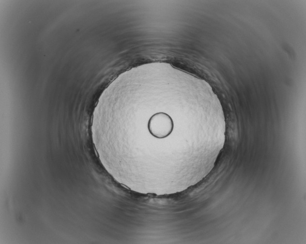 X0000111520332200908041249