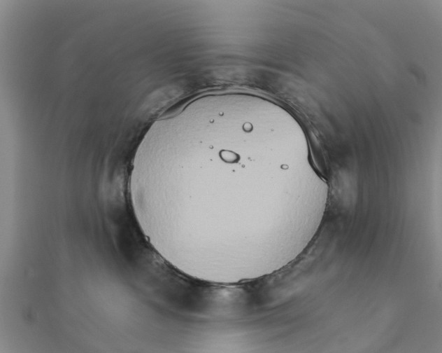 X0000111520333200908041249