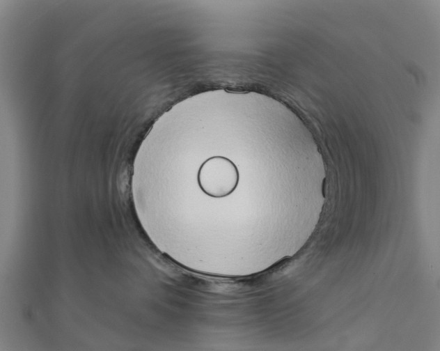 X0000111520336200908041249