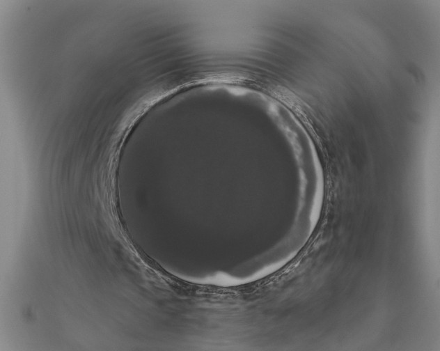 X0000111520337200908041248