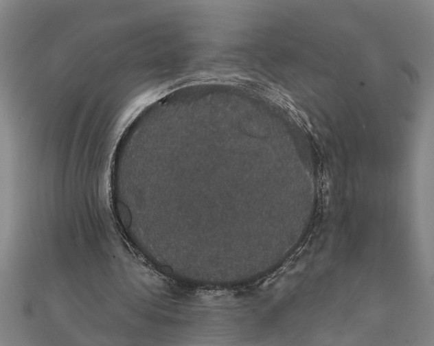 X0000111520340200908041248
