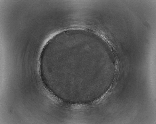 X0000111520342200908041248