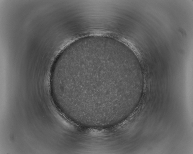 X0000111520346200908041248