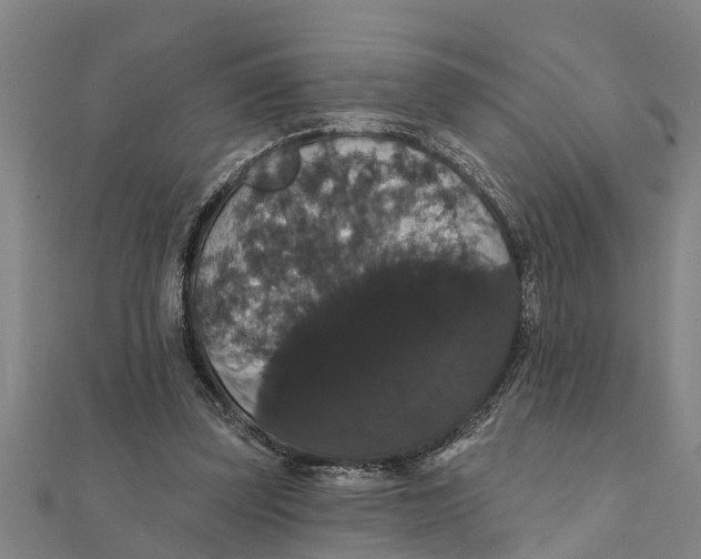 X0000111520347200908041248