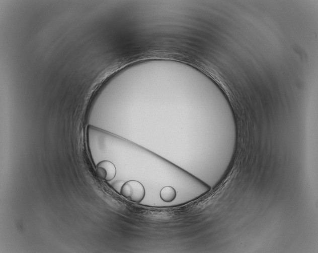 X0000111520349200908041248