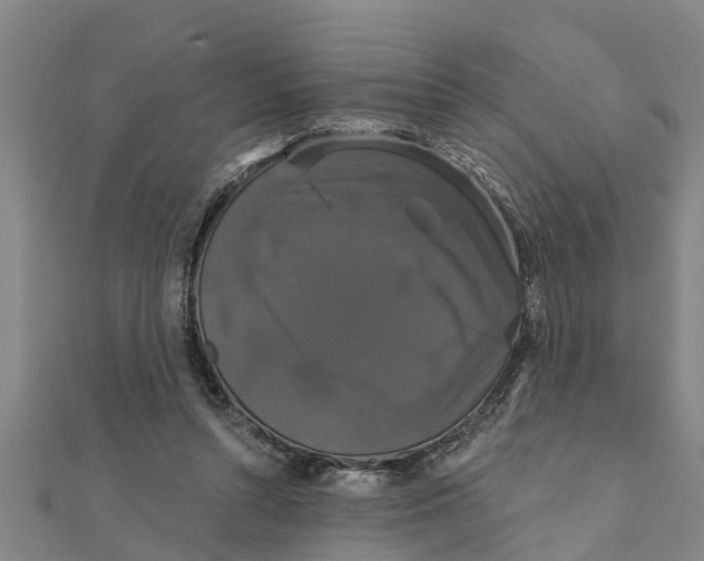 X0000111520352200908041248