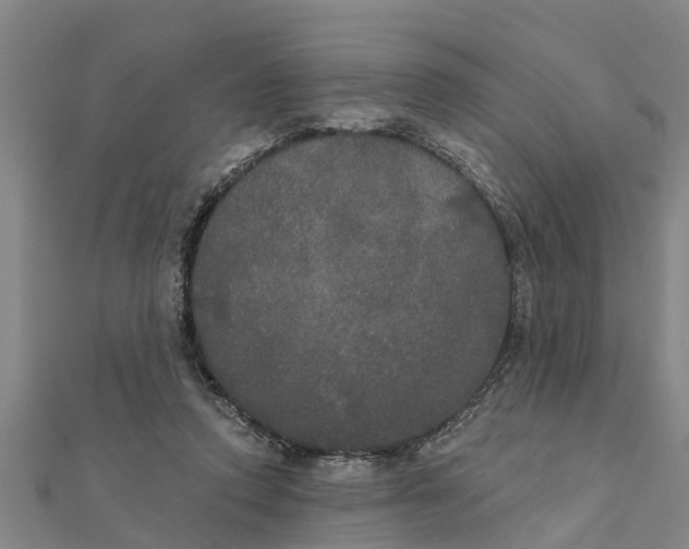 X0000111520354200908041248