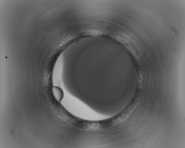 X0000111520355200908041249