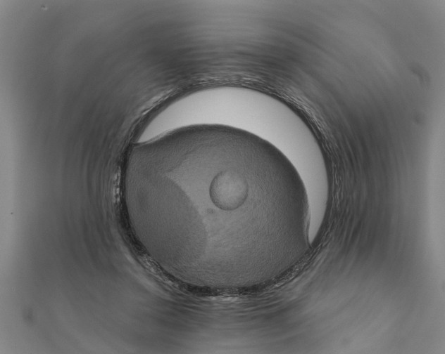 X0000111520356200908041249