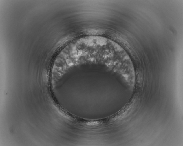 X0000111520357200908041249