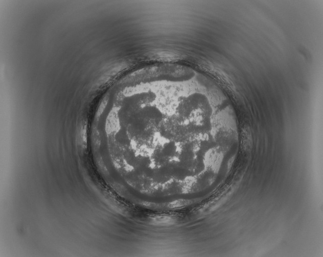 X0000111520358200908041249