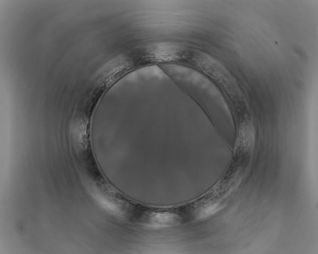 X0000111520360200908041249