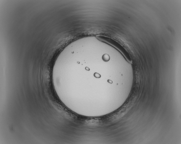 X0000111520362200908041249