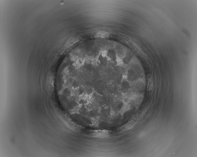 X0000111520363200908041249