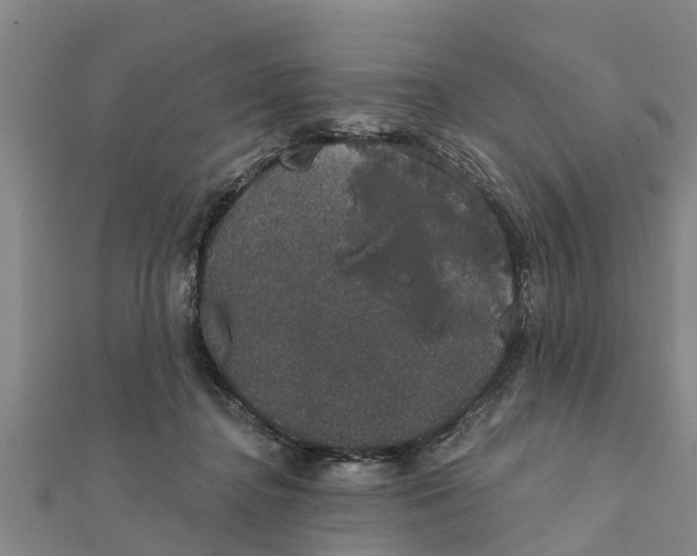 X0000111520364200908041249