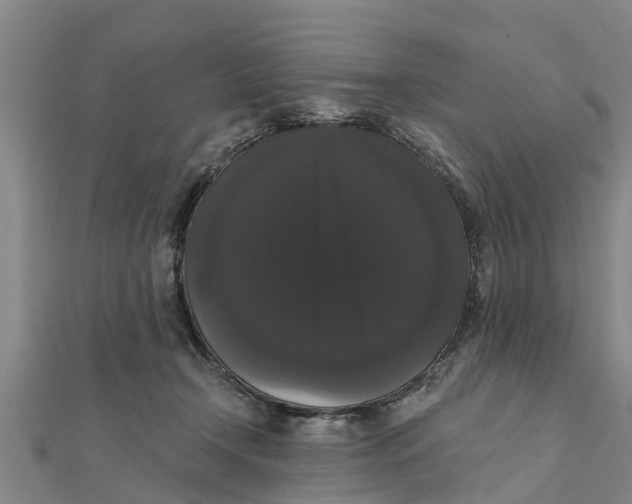 X0000111520366200908041249