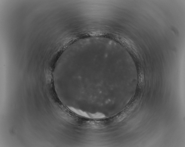 X0000111520367200908041249