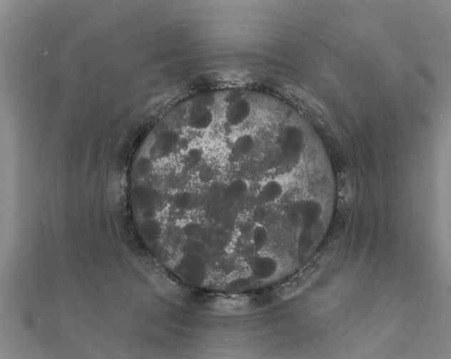 X0000111520369200908041249