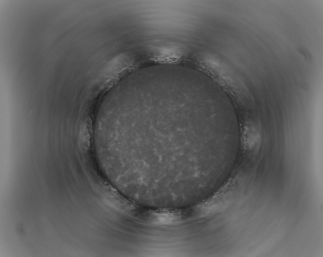 X0000111520370200908041249