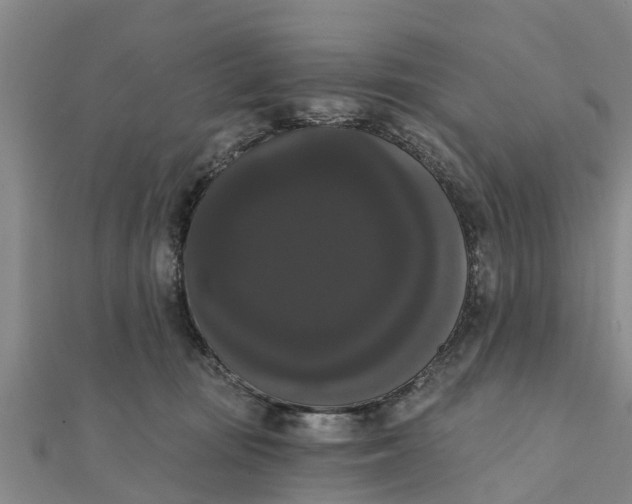 X0000111520371200908041249