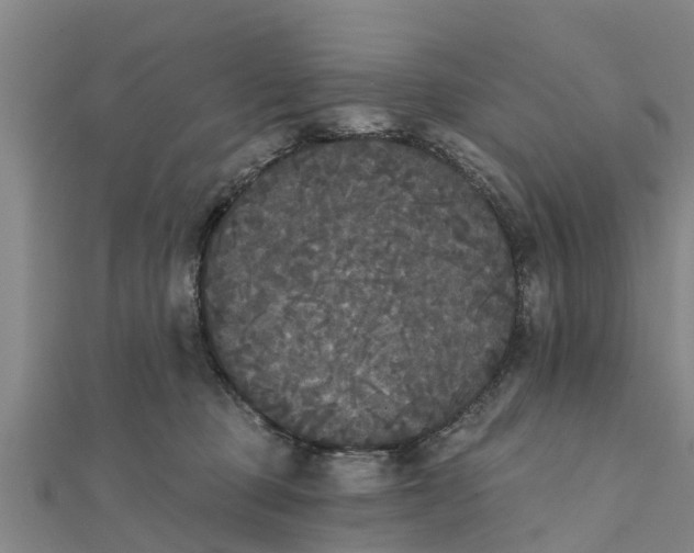 X0000111520373200908041249