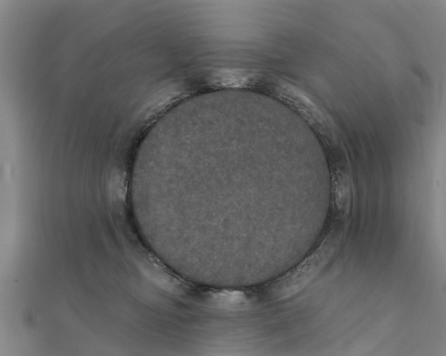 X0000111520374200908041249