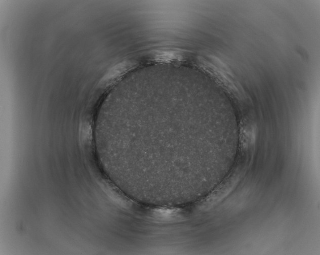 X0000111520375200908041249