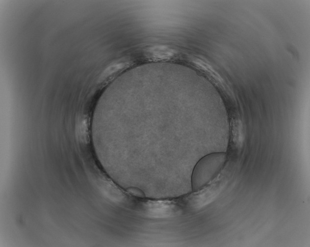 X0000111520378200908041249