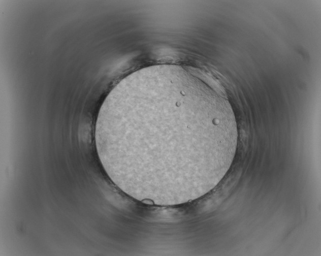 X0000111520379200908041249