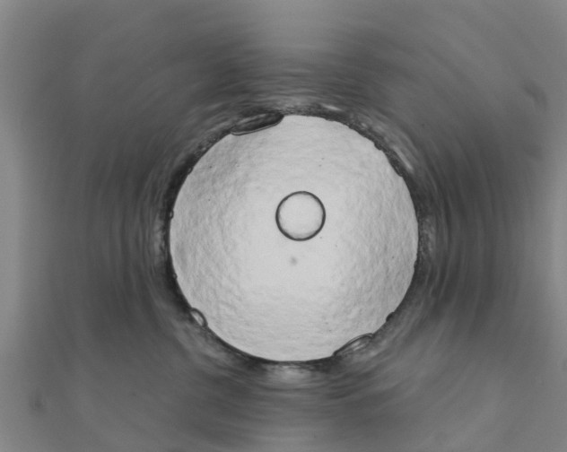 X0000111520380200908041249