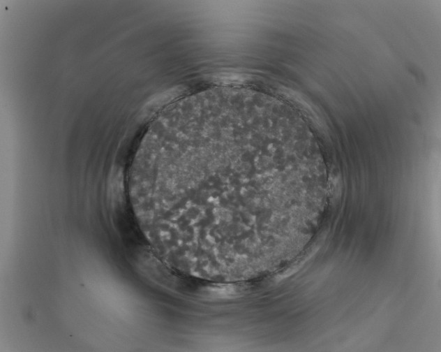 X0000111520381200908041249