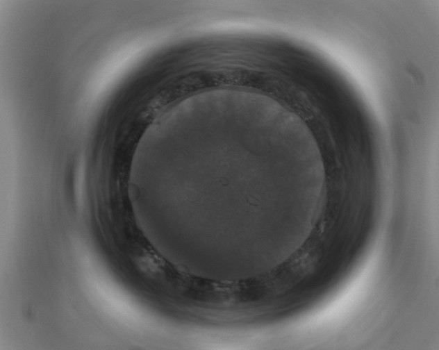 X0000111520382200908041249