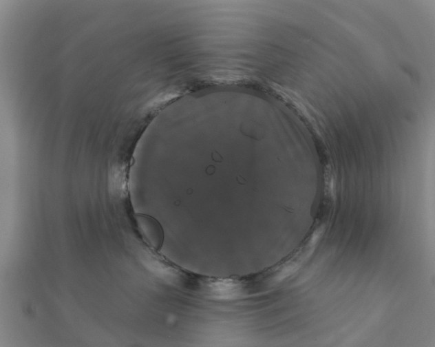 X0000111520383200908041249