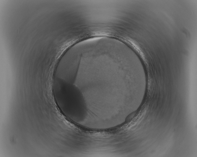 X0000111520385200908041248