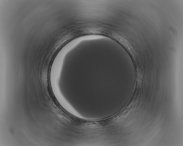 X0000111520386200908041248