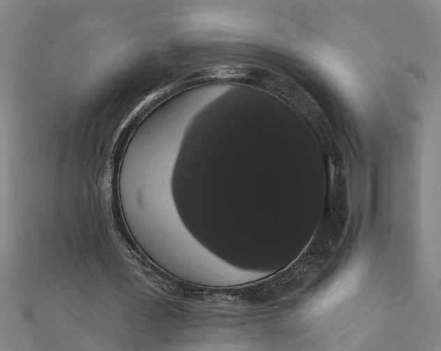 X0000111520387200908041248