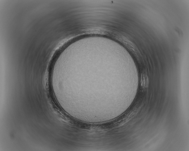 X0000111520388200908041248