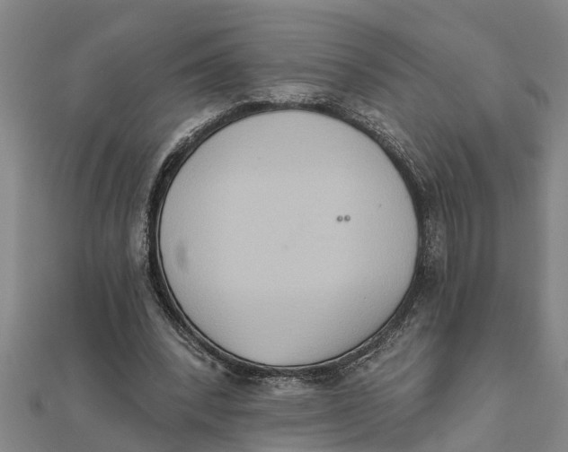 X0000111520392200908041248