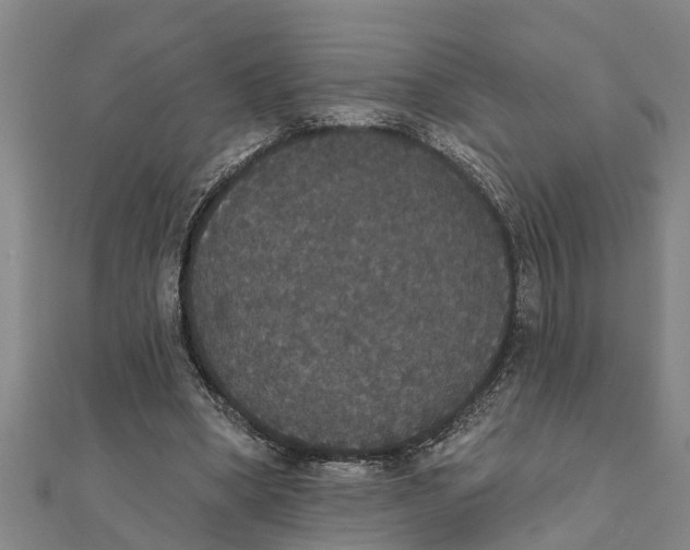 X0000111520394200908041248
