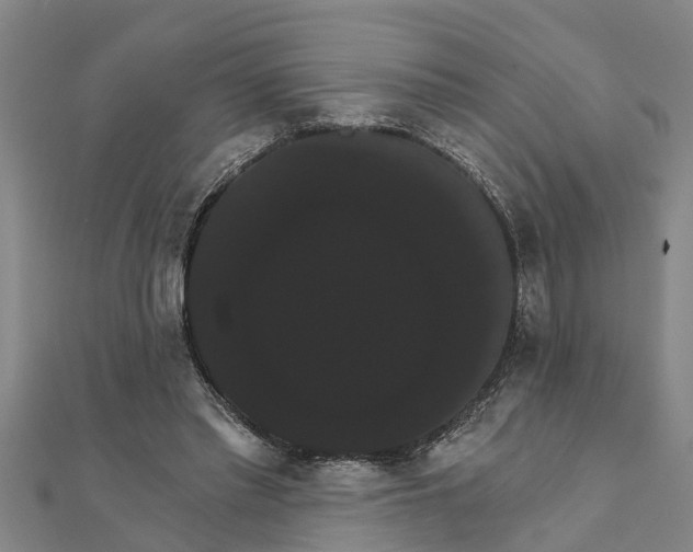 X0000111520397200908041248