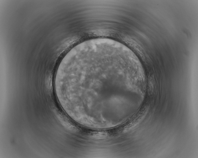 X0000111520398200908041248