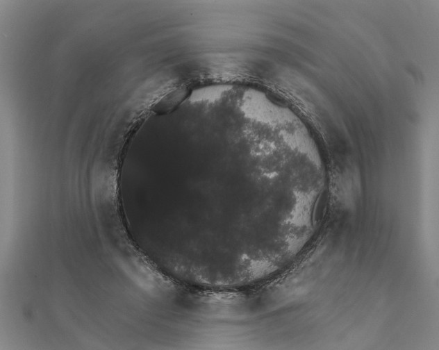 X0000111520401200908041248