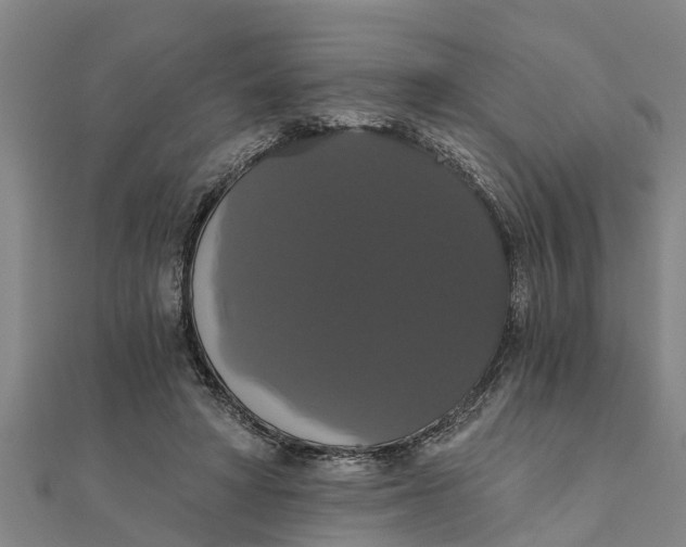 X0000111520402200908041248