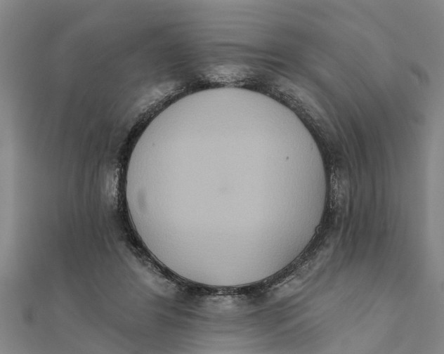 X0000111520404200908041248