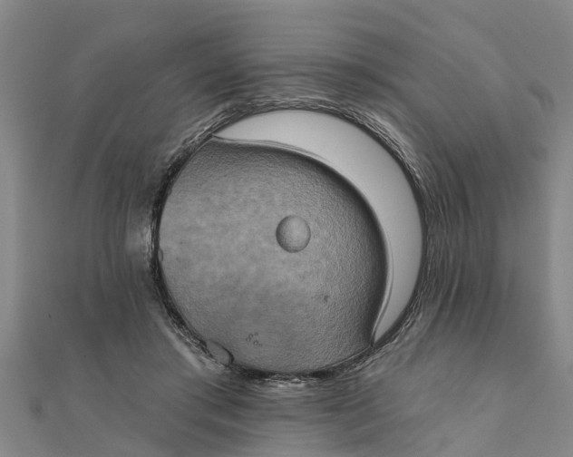 X0000111520405200908041248