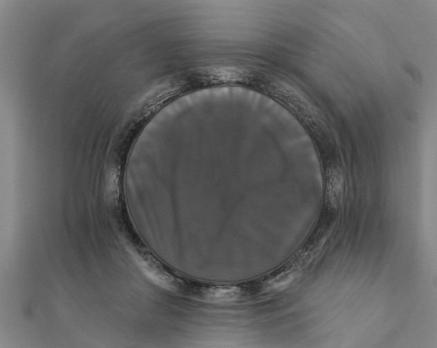 X0000111520410200908041248