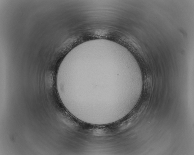 X0000111520412200908041248