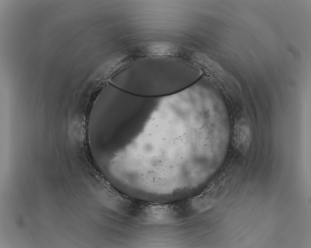 X0000111520413200908041248